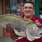 View "Fishmonger holds large hake outside his Park Street shop"