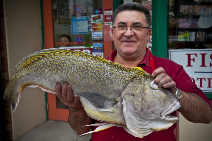 Fishmonger holds large hake outside his Park Street shop